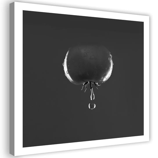 Obraz na płótnie FEEBY, Pomidor i krople wody - czarno-białe 40x40 Feeby