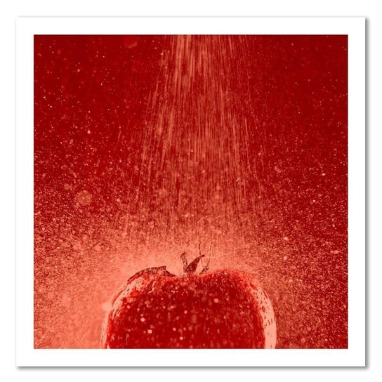 Obraz na płótnie FEEBY, Pomidor Krople Wody 30x30 Feeby