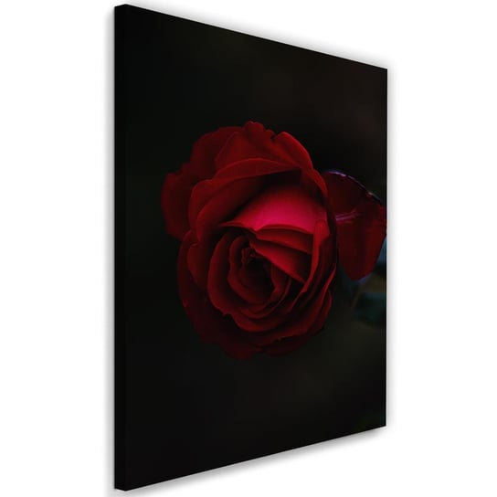Obraz na płótnie FEEBY, Róża Czerwony Kwiat Natura 40x60 Feeby