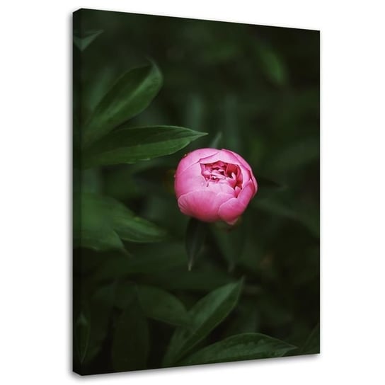 Obraz na płótnie FEEBY, Różowy kwiatowy pąk 80x120 Feeby