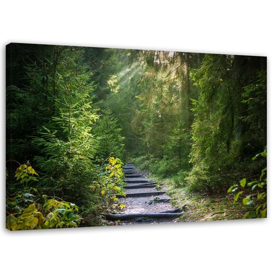 Obraz na płótnie FEEBY, Ścieżka w zielonym lesie 120x80 Feeby