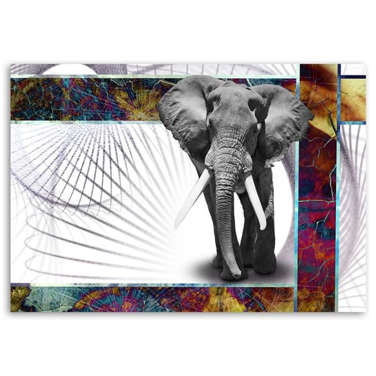 Obraz na płótnie FEEBY, Słoń Zwierzęta 100x70 Feeby