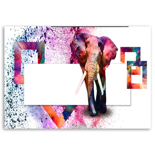 Obraz na płótnie FEEBY, Słoń Zwierzęta 100x70 Feeby