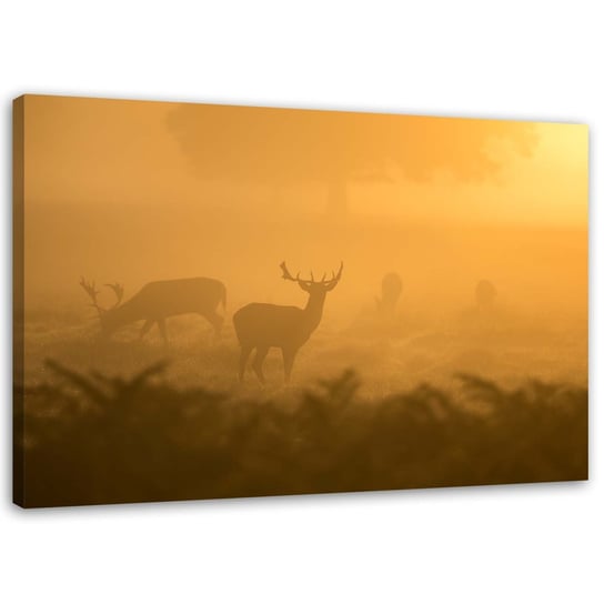 Obraz na płótnie FEEBY, Stado jeleni o świcie 100x70 Feeby