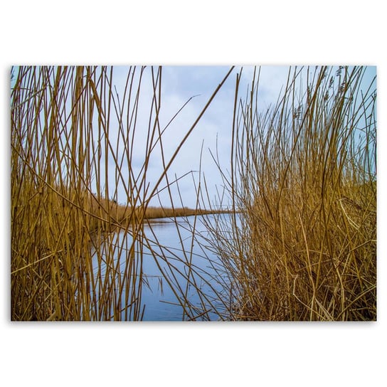 Obraz na płótnie FEEBY, Trawa jezioro natura 100x70 Feeby