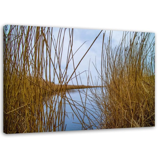 Obraz na płótnie FEEBY, Trzciny na jeziorze 100x70 Feeby
