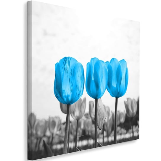 Obraz na płótnie FEEBY, Trzy Tulipany Natura 80x80 Feeby