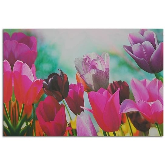 Obraz na płótnie FEEBY, Tulipany Fioletowe Kwiaty 100x70 Feeby