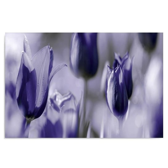 Obraz na płótnie FEEBY, Tulipany Kwiaty Fioletowy 40x30 Feeby