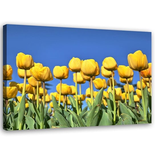 Obraz na płótnie FEEBY, Tulipany Kwiaty Natura 120x80 Feeby