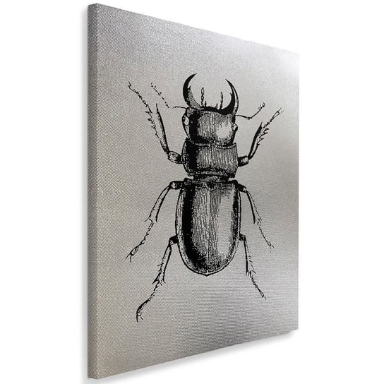 Obraz na płótnie FEEBY, w kolorze srebra Narysowany owad 40x60 Feeby