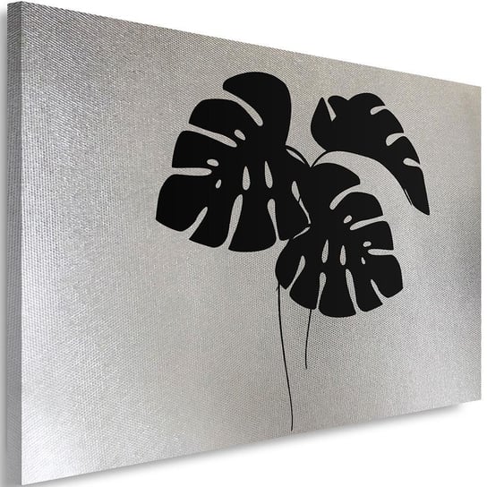 Obraz na płótnie FEEBY, w kolorze srebra Tropikalne liście - monstera 60x40 Feeby