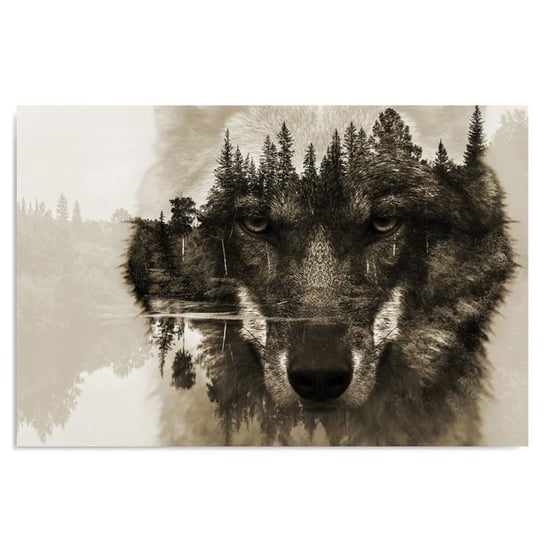 Obraz na płótnie FEEBY, Wilk na tle lasu - brązowy 120x80 Feeby