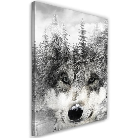 Obraz na płótnie FEEBY, Wilk w zimowej scenerii 40x60 Feeby
