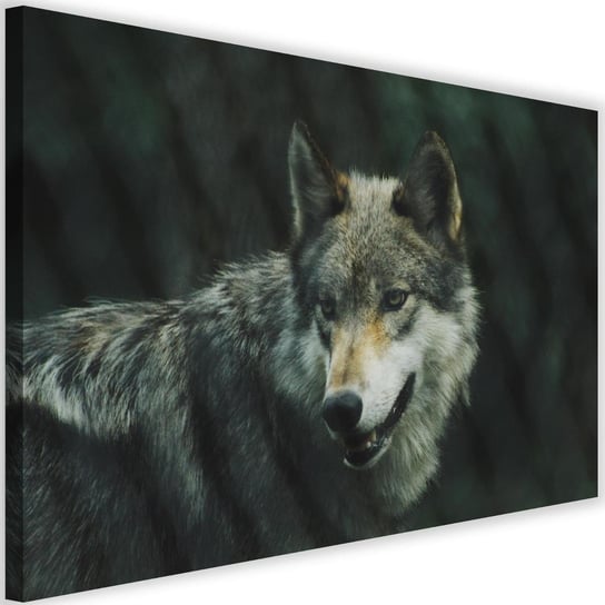 Obraz na płótnie FEEBY, Wilk Zwierzęta Natura 120x80 Feeby