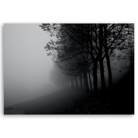 Obraz na płótnie Fog In The Trees 60x90 Legendarte
