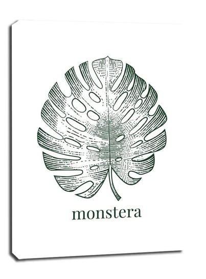 Obraz na płótnie, GALERIA PLAKATU, Liść VIII - monstera, 50x70 cm Galeria Plakatu