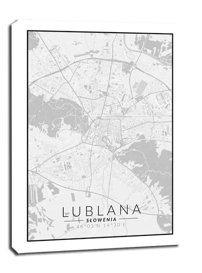 Obraz na płótnie, GALERIA PLAKATU, Lublana mapa czarno biała, 40x50 cm Galeria Plakatu