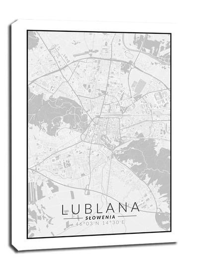 Obraz na płótnie, GALERIA PLAKATU, Lublana mapa czarno biała, 90x120 cm Galeria Plakatu