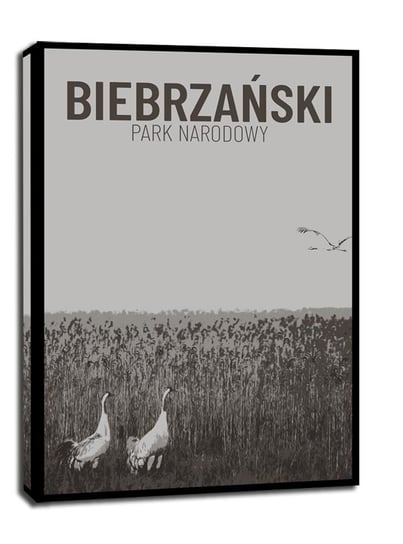 Obraz na płótnie, GALERIA PLAKATU, Parki Narodowe, Biebrza b&w, 20x30 cm Galeria Plakatu