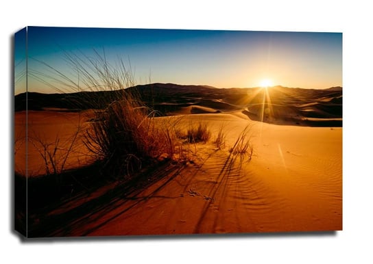 Obraz na płótnie, GALERIA PLAKATU, Sahara Trawy, 40x30 cm Galeria Plakatu