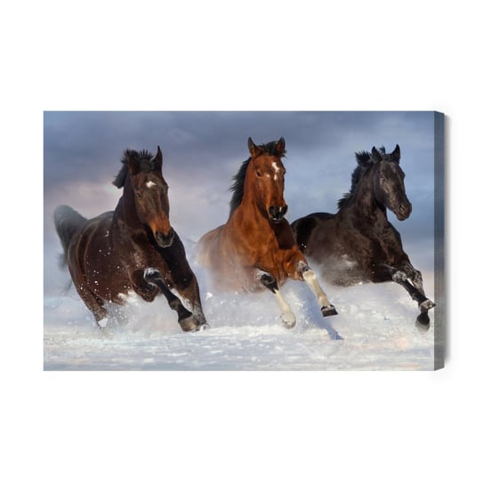 Obraz Na Płótnie Galopujące Konie Zimą 30x20 Inna marka
