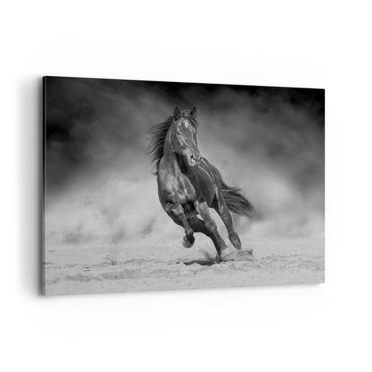 Obraz na płótnie - Godny samego emira - 100x70cm - Koń Zwierzęta Natura - Nowoczesny foto obraz w ramie do salonu do sypialni ARTTOR ARTTOR