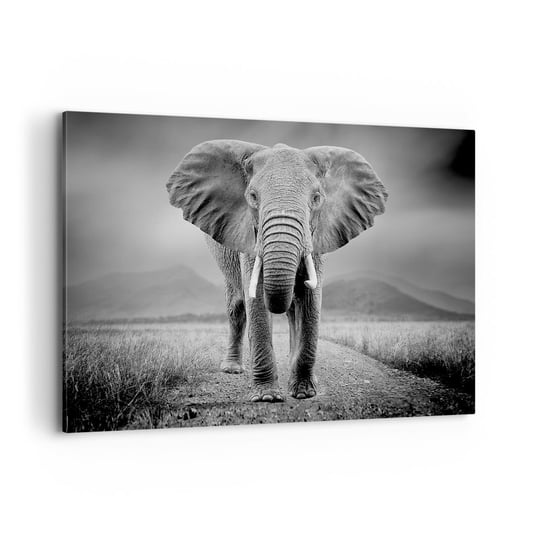 Obraz na płótnie - Gospodarz wita - 100x70cm - Słoń Zwierzęta Krajobraz - Nowoczesny foto obraz w ramie do salonu do sypialni ARTTOR ARTTOR