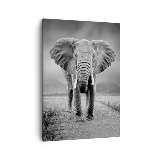 Obraz na płótnie - Gospodarz wita - 50x70cm - Słoń Zwierzęta Krajobraz - Nowoczesny Canvas obraz do salonu do sypialni ARTTOR ARTTOR