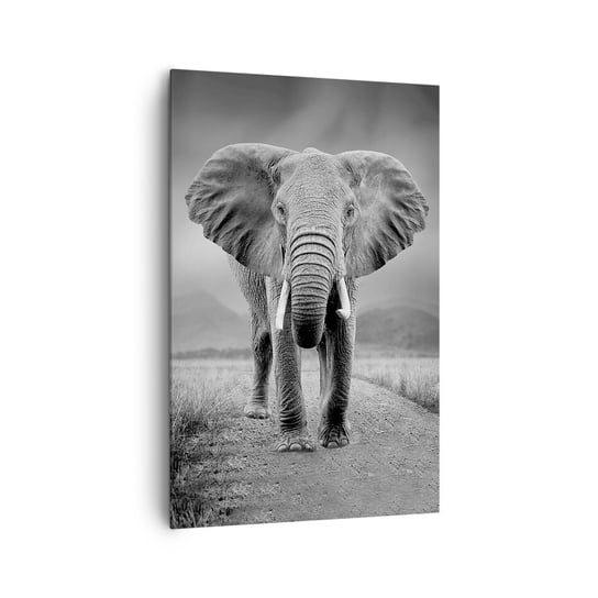 Obraz na płótnie - Gospodarz wita - 80x120cm - Słoń Zwierzęta Krajobraz - Nowoczesny obraz na ścianę do salonu do sypialni ARTTOR ARTTOR