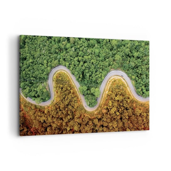 Obraz na płótnie - Granice i przełomy - 120x80cm - Krajobraz Droga Samochodowa Las - Nowoczesny obraz na ścianę do salonu do sypialni ARTTOR ARTTOR