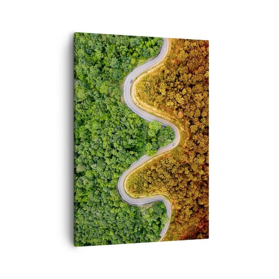 Obraz na płótnie - Granice i przełomy - 50x70cm - Krajobraz Droga Samochodowa Las - Nowoczesny Canvas obraz do salonu do sypialni ARTTOR ARTTOR