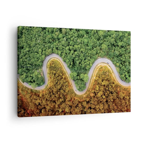 Obraz na płótnie - Granice i przełomy - 70x50cm - Krajobraz Droga Samochodowa Las - Nowoczesny Canvas obraz do salonu do sypialni ARTTOR ARTTOR
