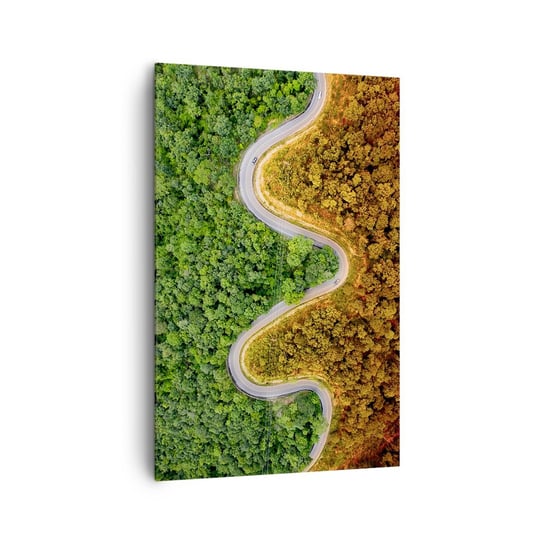 Obraz na płótnie - Granice i przełomy - 80x120cm - Krajobraz Droga Samochodowa Las - Nowoczesny obraz na ścianę do salonu do sypialni ARTTOR ARTTOR