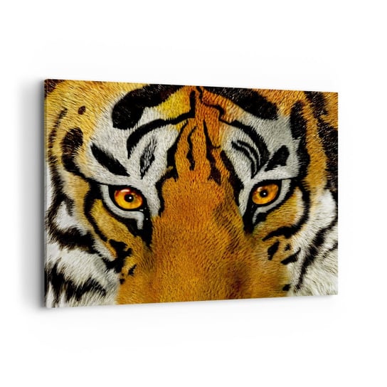 Obraz na płótnie - Groźny i piękny - 100x70cm - Zwierzęta Tygrys Afryka - Nowoczesny foto obraz w ramie do salonu do sypialni ARTTOR ARTTOR
