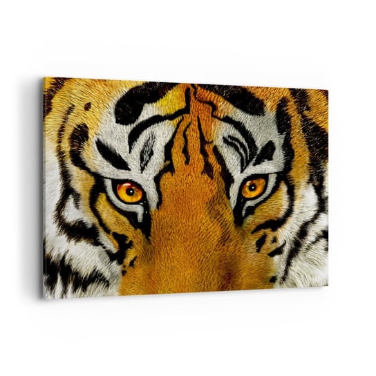 Obraz na płótnie - Groźny i piękny - 120x80cm - Zwierzęta Tygrys Afryka - Nowoczesny obraz na ścianę do salonu do sypialni ARTTOR ARTTOR