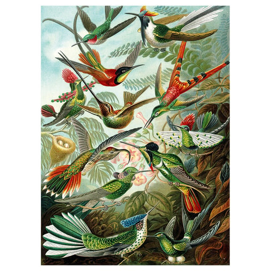Obraz Na Płótnie - Grupa Kolibrów - Dekoracje Ścienne - 50X70Cm Legendarte