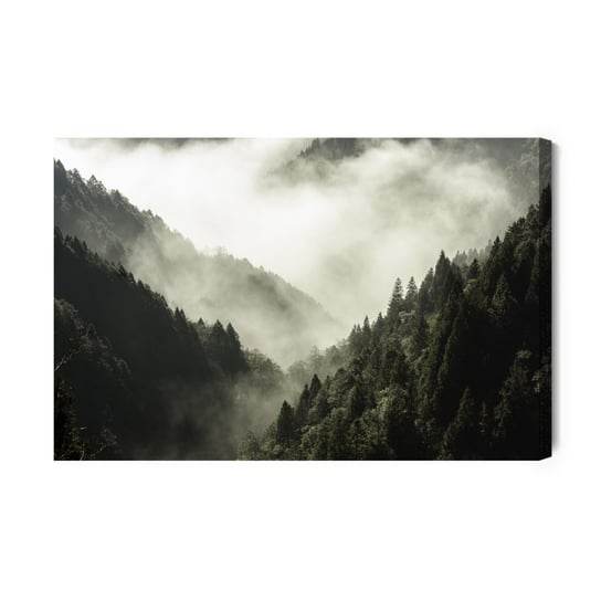 Obraz Na Płótnie High Mountain In Mist And Cloud 30x20 Inna marka