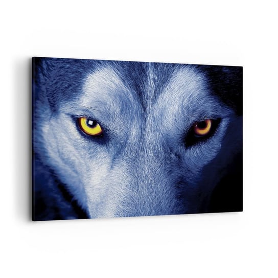 Obraz na płótnie - Hipnotyzujące spojrzenie - 120x80cm - Zwierzęta Wilk Oczy - Nowoczesny obraz na ścianę do salonu do sypialni ARTTOR ARTTOR