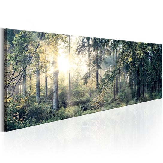 Obraz na płótnie, Hipnotyzujący las, 150x50 cm zakup.se