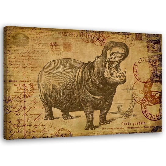 Obraz na płótnie: Hipopotam, 70x100 cm Feeby