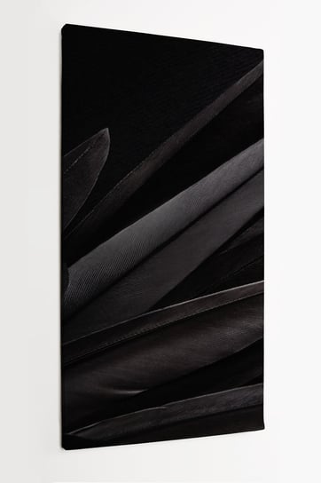 Obraz na płótnie HOMEPRIN, ciemne pióra ptaka na czarnym tle 50x100 cm HOMEPRINT