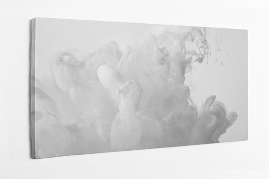 Obraz na płótnie HOMEPRINT, abstrakcyjny obraz szarej farby na białym tle 100x50 cm HOMEPRINT