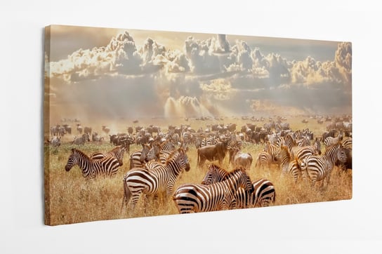 Obraz na płótnie HOMEPRINT, afrykańskie dzikie zwierzęta, zebry i gnu w afrykańskiej sawannie 100x50 cm HOMEPRINT