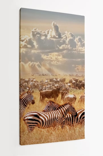 Obraz na płótnie HOMEPRINT, afrykańskie dzikie zwierzęta, zebry i gnu w afrykańskiej sawannie 60x120 cm HOMEPRINT