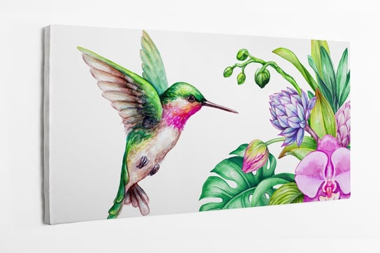 Obraz na płótnie HOMEPRINT, akwarele, ilustracja, koliber, ptak, egzotyczne liście 120x50 cm HOMEPRINT