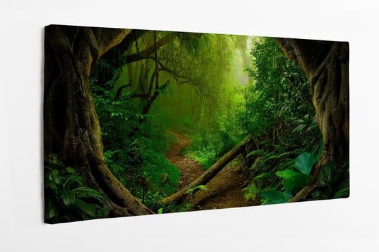 Obraz na płótnie HOMEPRINT, Azjatycki tropikalny las deszczowy 100x50 cm HOMEPRINT