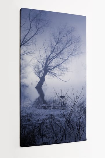 Obraz na płótnie HOMEPRINT, bagno, jesień, mgła, drzewa, krajobraz, wieczór, mroczny 50x100 cm HOMEPRINT