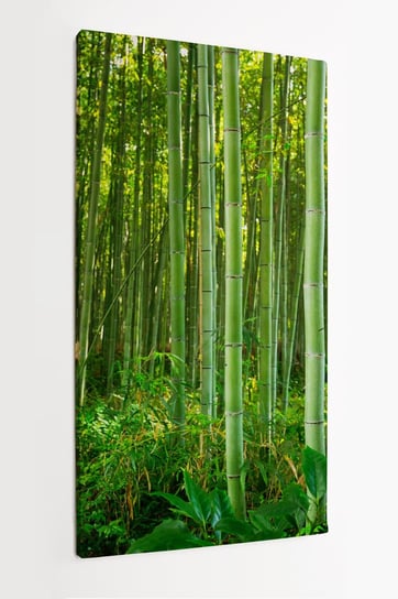 Obraz na płótnie HOMEPRINT Bambus, las bambusowy, Kyoto, Japan 50x100 cm HOMEPRINT