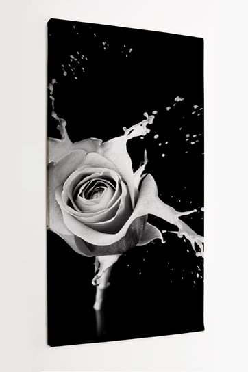 Obraz na płótnie HOMEPRINT, biała róża 50x100 cm HOMEPRINT